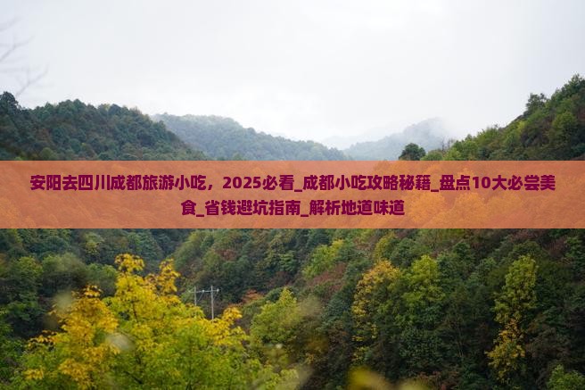 安阳去四川成都旅游小吃