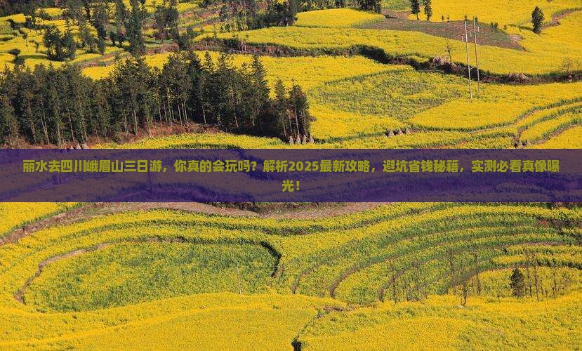 丽水去四川峨眉山三日游