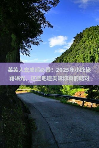 莱芜去四川成都旅游小吃