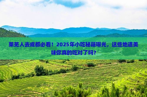 莱芜去四川成都旅游小吃