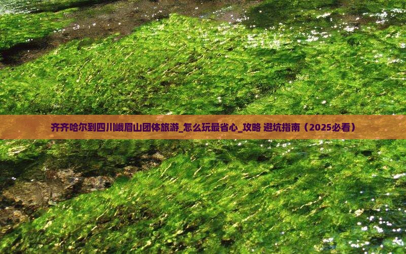 齐齐哈尔到四川峨眉山团体旅游