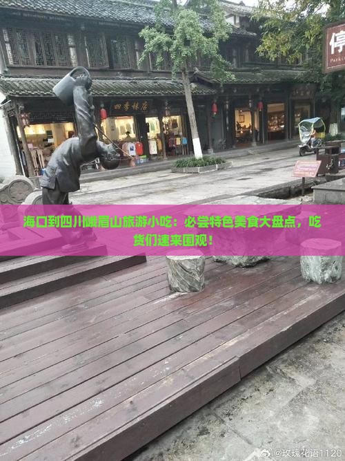 海口到四川峨眉山旅游小吃