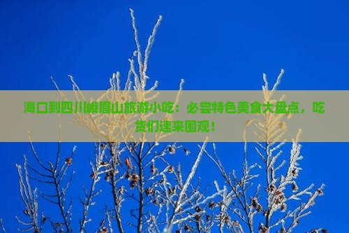 海口到四川峨眉山旅游小吃