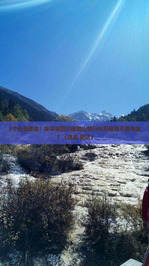 来宾去四川峨眉山旅行社