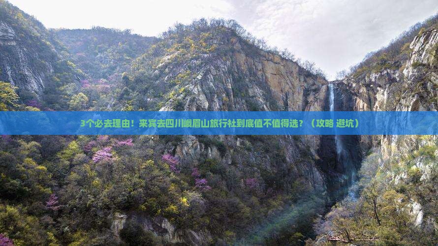 来宾去四川峨眉山旅行社