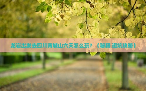 龙岩到四川青城山六日游