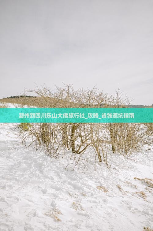 滁州到四川乐山大佛旅行社