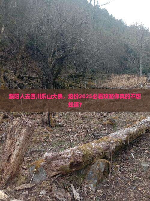 濮阳去四川乐山大佛大型旅游团