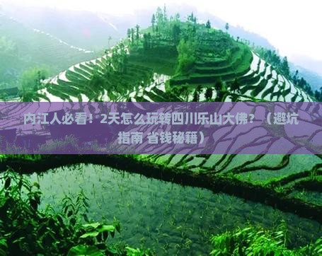 内江去四川乐山大佛二日游