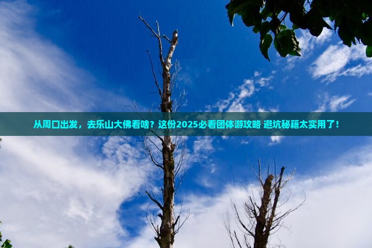 周口到四川乐山大佛团体旅游