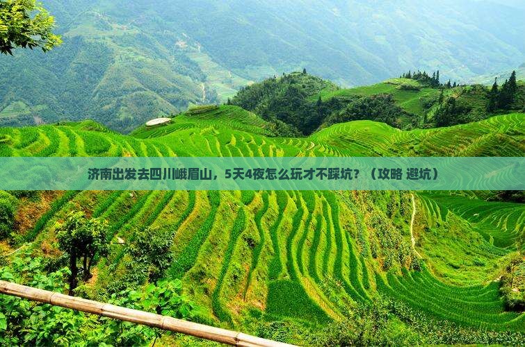 济南去四川峨眉山攻略