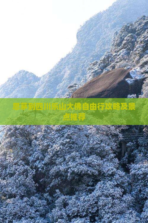 思茅到四川乐山大佛自由行