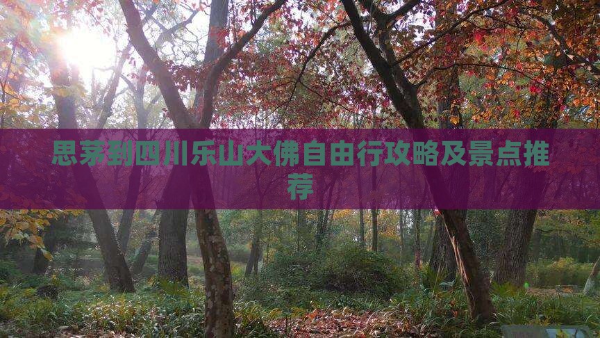 思茅到四川乐山大佛自由行