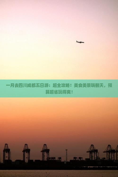 一月去四川成都五日游