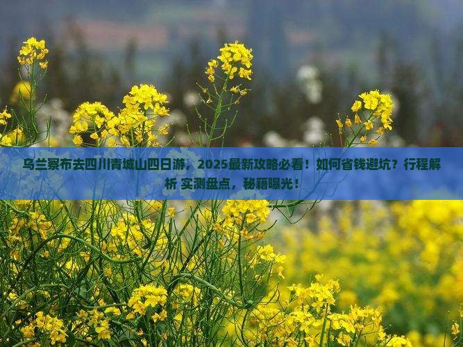 乌兰察布去四川青城山四日游