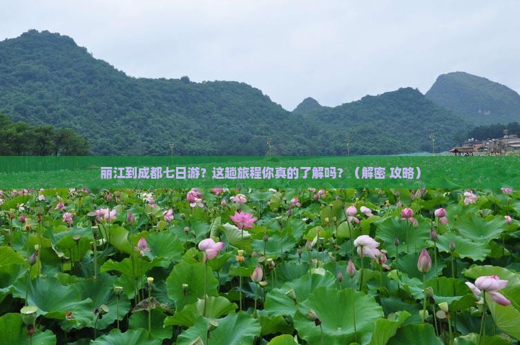 丽江到四川成都七日游