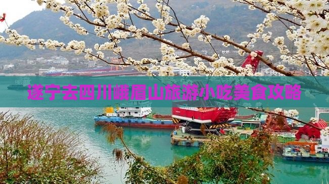 遂宁去四川峨眉山旅游小吃美食攻略