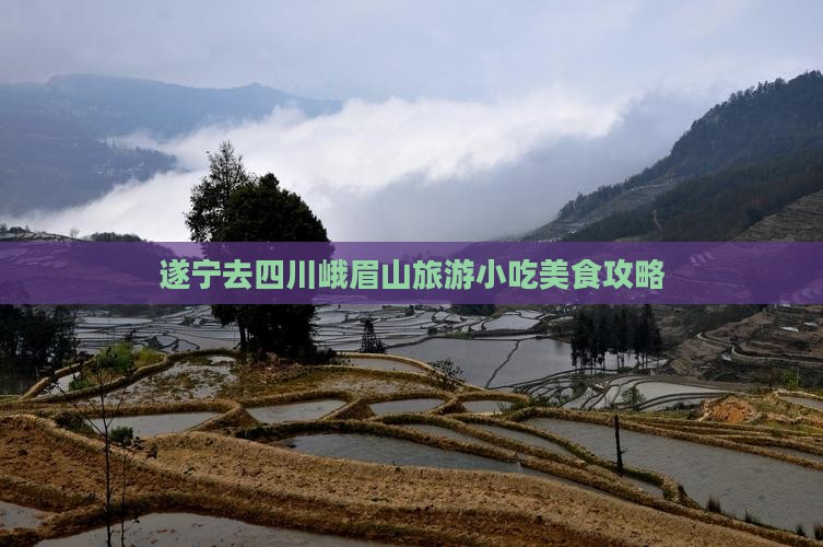 遂宁去四川峨眉山旅游小吃美食攻略