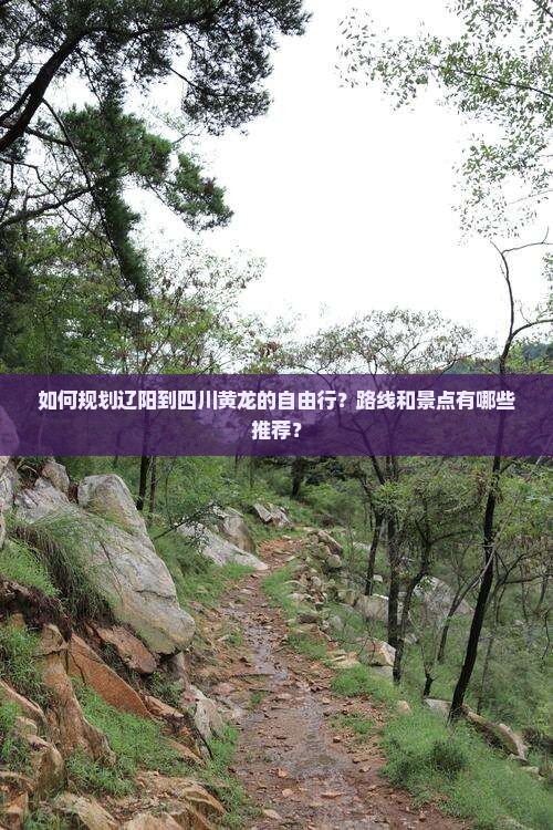 如何规划辽阳到四川黄龙的自由行？路线和景点有哪些推荐？