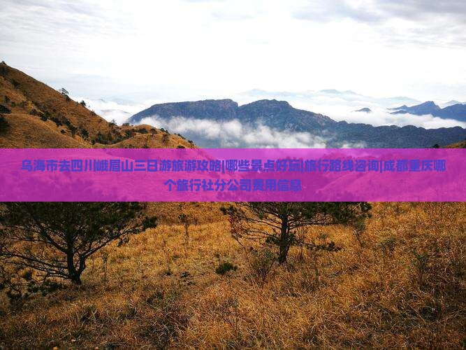 乌海市去四川峨眉山三日游旅游攻略|哪些景点好玩|旅行路线咨询|成都重庆哪个旅行社分公司费用信息