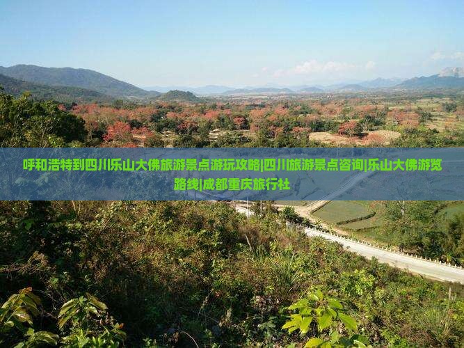 呼和浩特到四川乐山大佛旅游景点游玩攻略|四川旅游景点咨询|乐山大佛游览路线|成都重庆旅行社