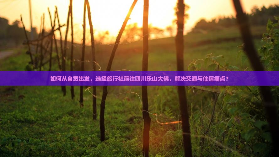 如何从自贡出发，选择旅行社前往四川乐山大佛，解决交通与住宿痛点？