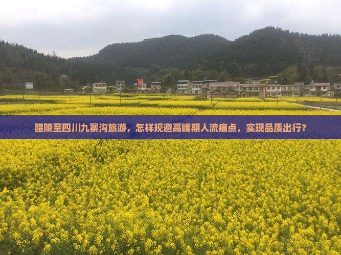 醴陵至四川九寨沟旅游，怎样规避高峰期人流痛点，实现品质出行？