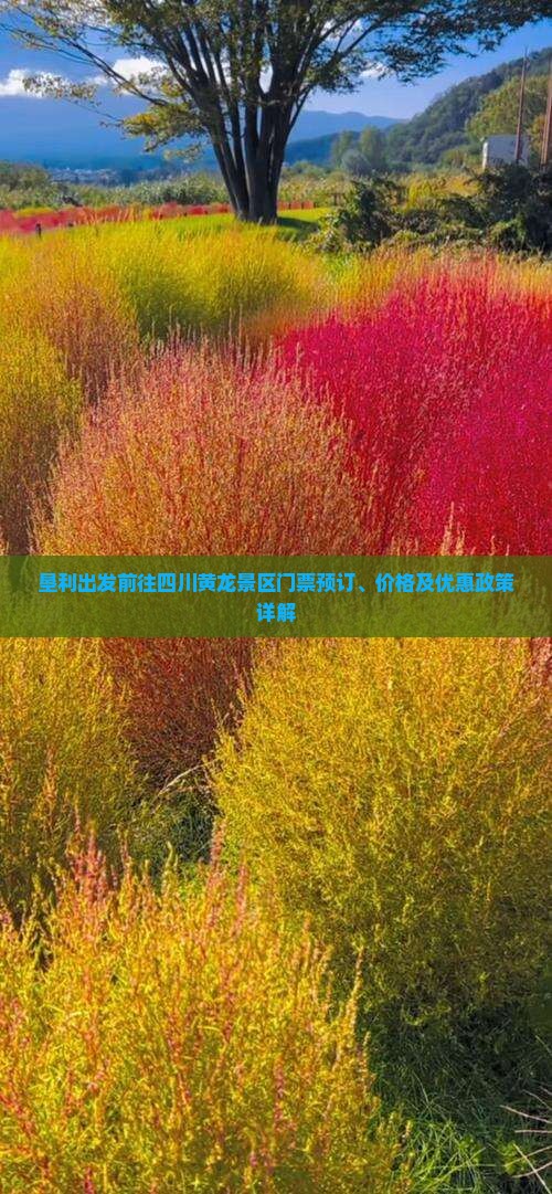 垦利出发前往四川黄龙景区门票预订、价格及优惠政策详解