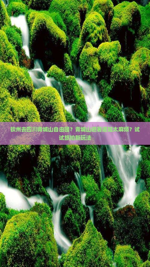 钦州去四川青城山自由团？青城山避暑遛娃太麻烦？试试旅拍新玩法