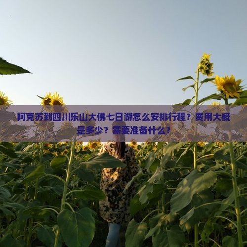 阿克苏到四川乐山大佛七日游怎么安排行程？费用大概是多少？需要准备什么？