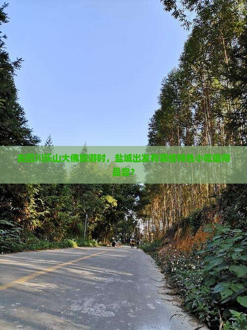 去四川乐山大佛旅游时，盐城出发有哪些特色小吃值得品尝？