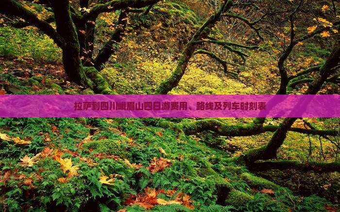 拉萨到四川峨眉山四日游费用、路线及列车时刻表