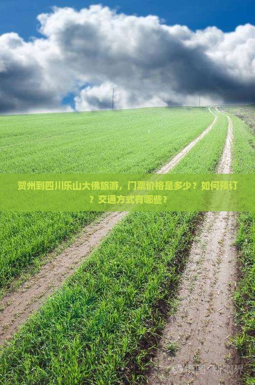 贺州到四川乐山大佛旅游，门票价格是多少？如何预订？交通方式有哪些？