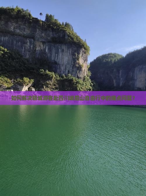 如何解决聊城游客赴四川峨眉山自由行中的痛点问题？