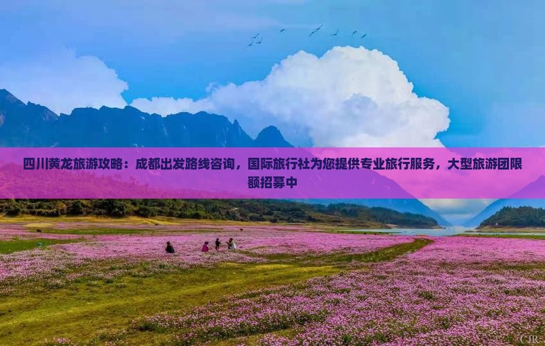 四川黄龙旅游攻略：成都出发路线咨询，国际旅行社为您提供专业旅行服务，大型旅游团限额招募中