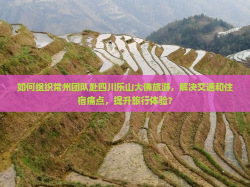 如何组织常州团队赴四川乐山大佛旅游，解决交通和住宿痛点，提升旅行体验？