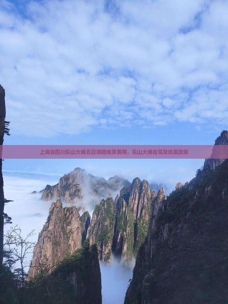 上海去四川乐山大佛五日游路线及费用，乐山大佛自驾及优惠政策