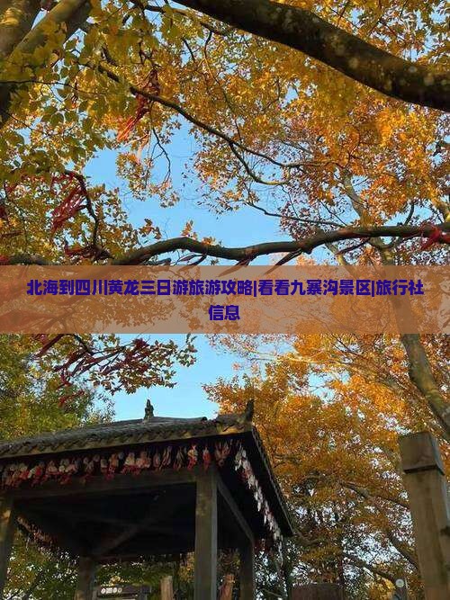 北海到四川黄龙三日游旅游攻略|看看九寨沟景区|旅行社信息
