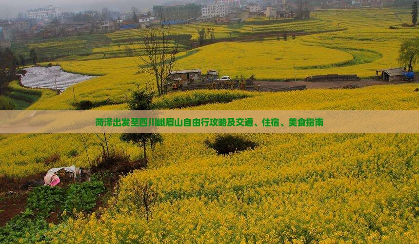 菏泽出发至四川峨眉山自由行攻略及交通、住宿、美食指南