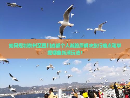如何规划泰州至四川成都个人游路犀解决旅行痛点和掌握哪些新潮玩法？