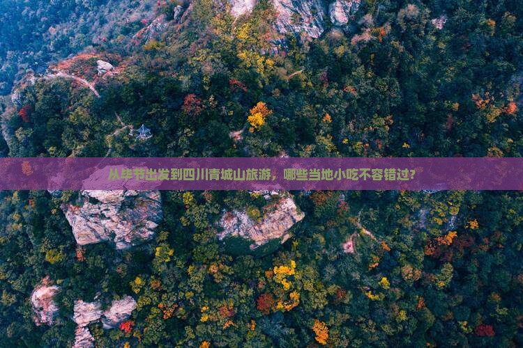 从毕节出发到四川青城山旅游，哪些当地小吃不容错过？