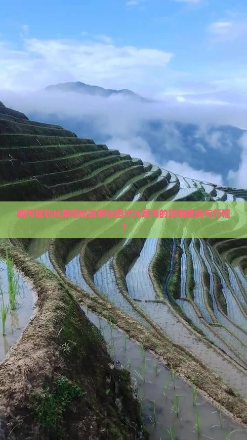 如何规划从阜阳出发前往四川九寨沟的旅游路线与行程？