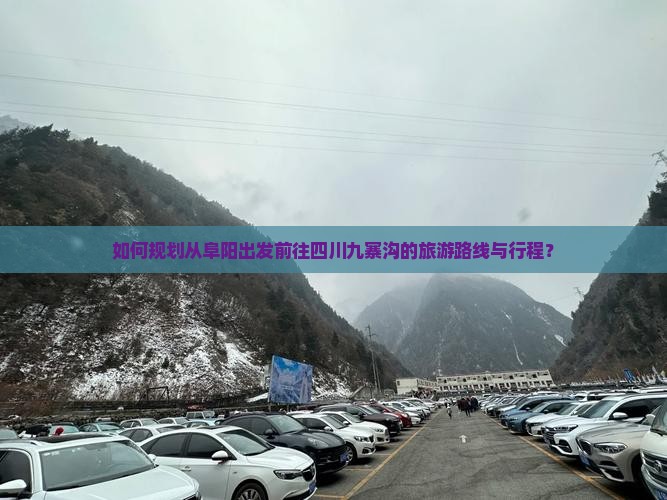 如何规划从阜阳出发前往四川九寨沟的旅游路线与行程？