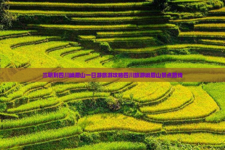 三明到四川峨眉山一日游旅游攻略四川旅游峨眉山景点路线