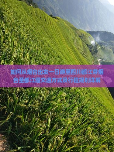 如何从烟台出发一日游至四川都江芽烟台至都江堰交通方式及行程规划详解