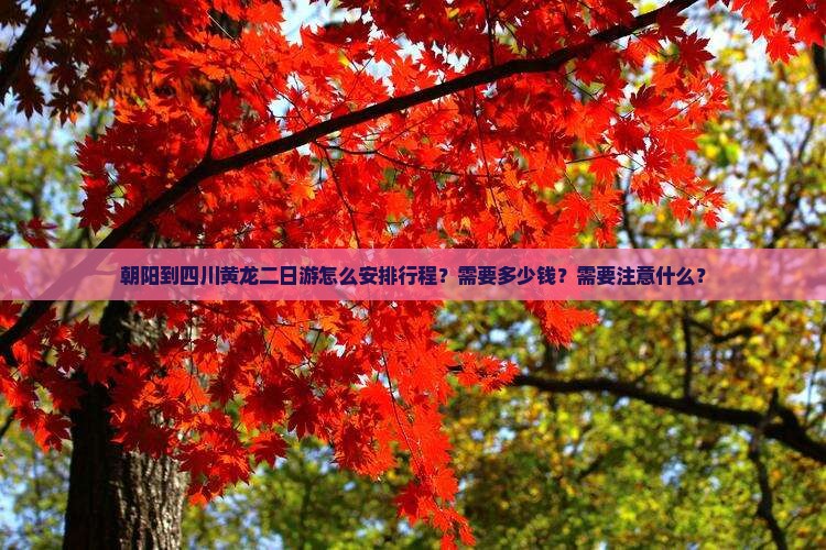 朝阳到四川黄龙二日游怎么安排行程？需要多少钱？需要注意什么？