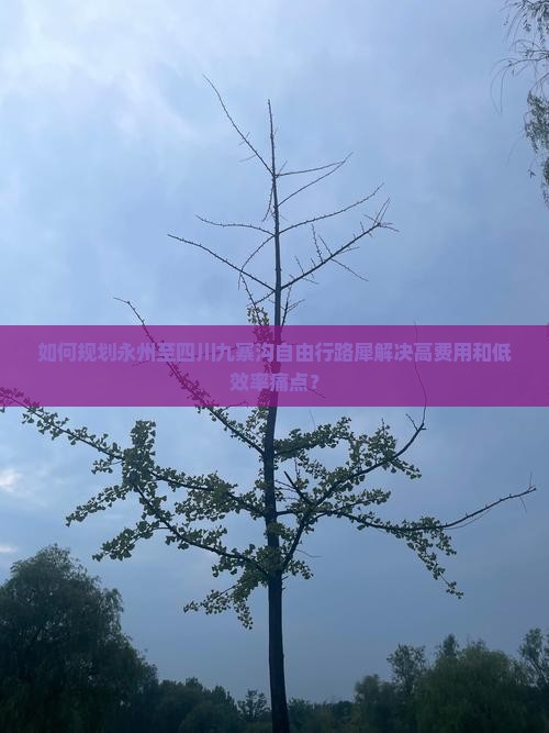 如何规划永州至四川九寨沟自由行路犀解决高费用和低效率痛点？