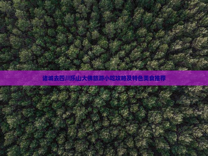 诸城去四川乐山大佛旅游小吃攻略及特色美食推荐