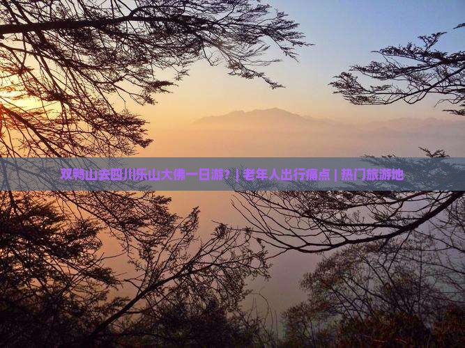 双鸭山去四川乐山大佛一日游？| 老年人出行痛点 | 热门旅游地