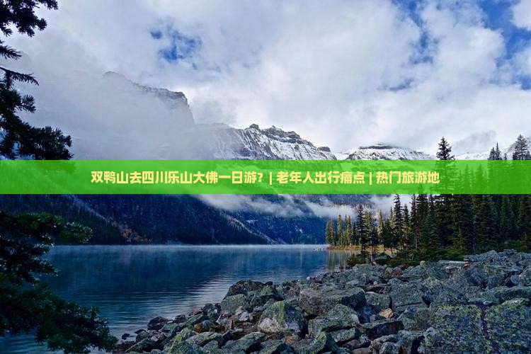双鸭山去四川乐山大佛一日游？| 老年人出行痛点 | 热门旅游地